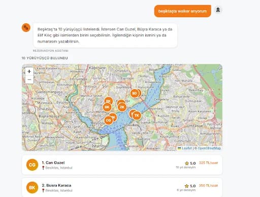 Doggo assistant (Turkish UI): asked for a walker in Beşiktaş, it lists 10 walkers on an Istanbul map with their rating, years of experience and hourly price.